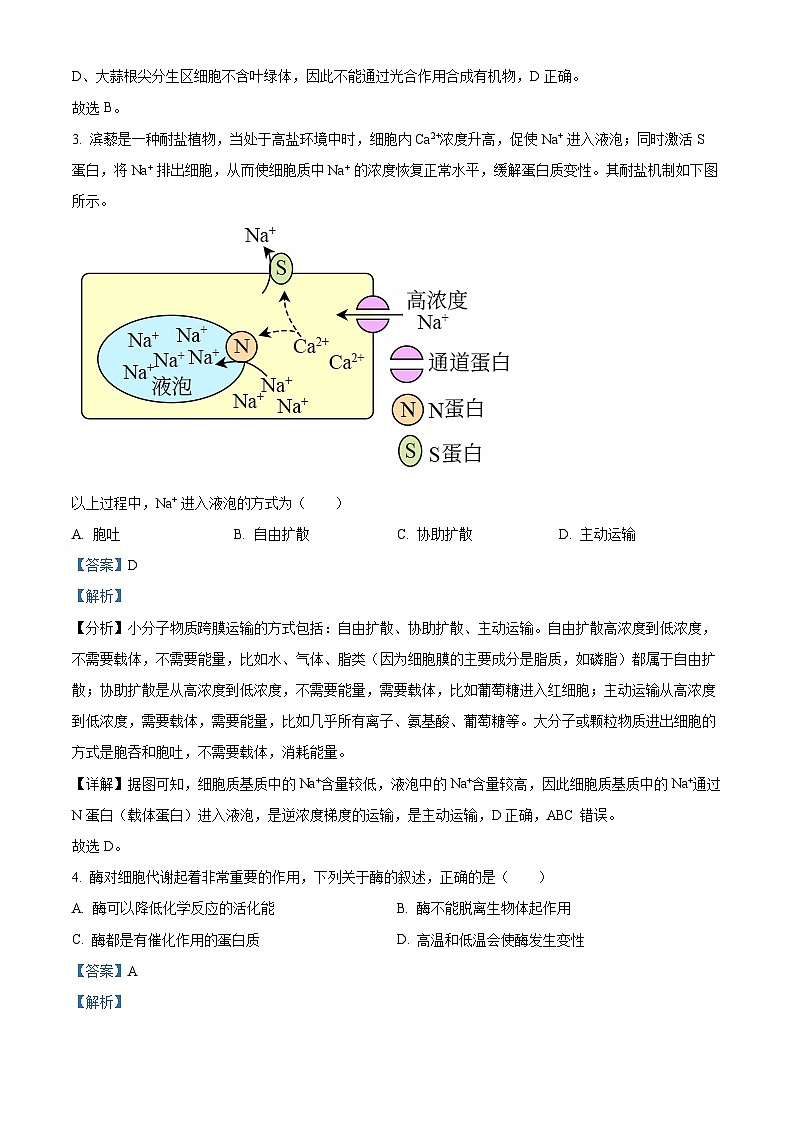 北京市朝阳区2021-2022学年高一生物下学期期末试题（Word版附解析）第2页