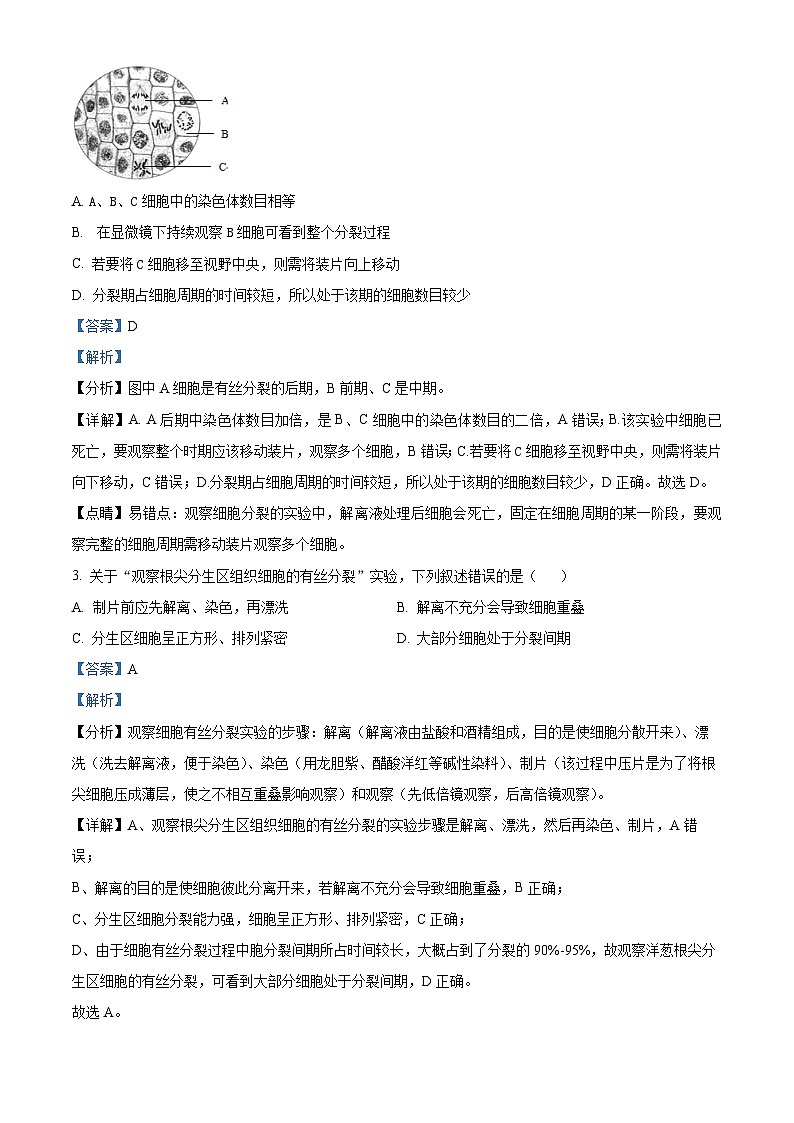 广东省广州市六十五中2022-2023学年高一生物下学期期中试题（Word版附解析）第2页
