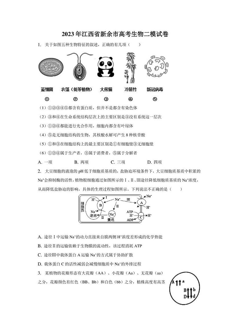 2023年江西省新余市高考生物二模试卷01