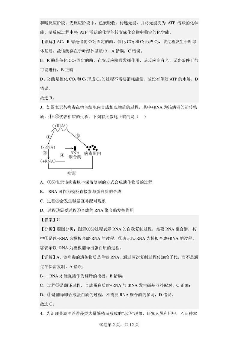 2023届新疆维吾尔自治区部分学校高三二模理综生物试题（解析版）02