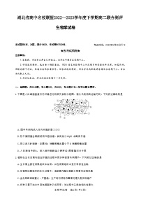 2023湖北省高中名校联盟高二下学期5月联合测评试题生物含解析