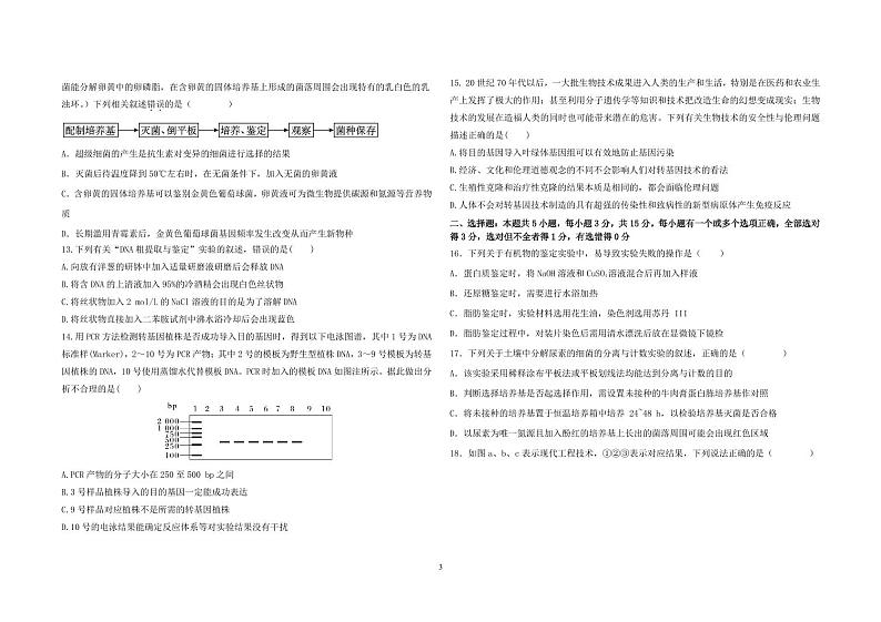 2023聊城四中高二下学期5月月考生物试题pdf版含答案03