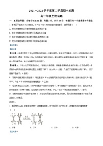 江苏省徐州市2021-2022学年高一生物下学期期末考试试题（Word版附解析）