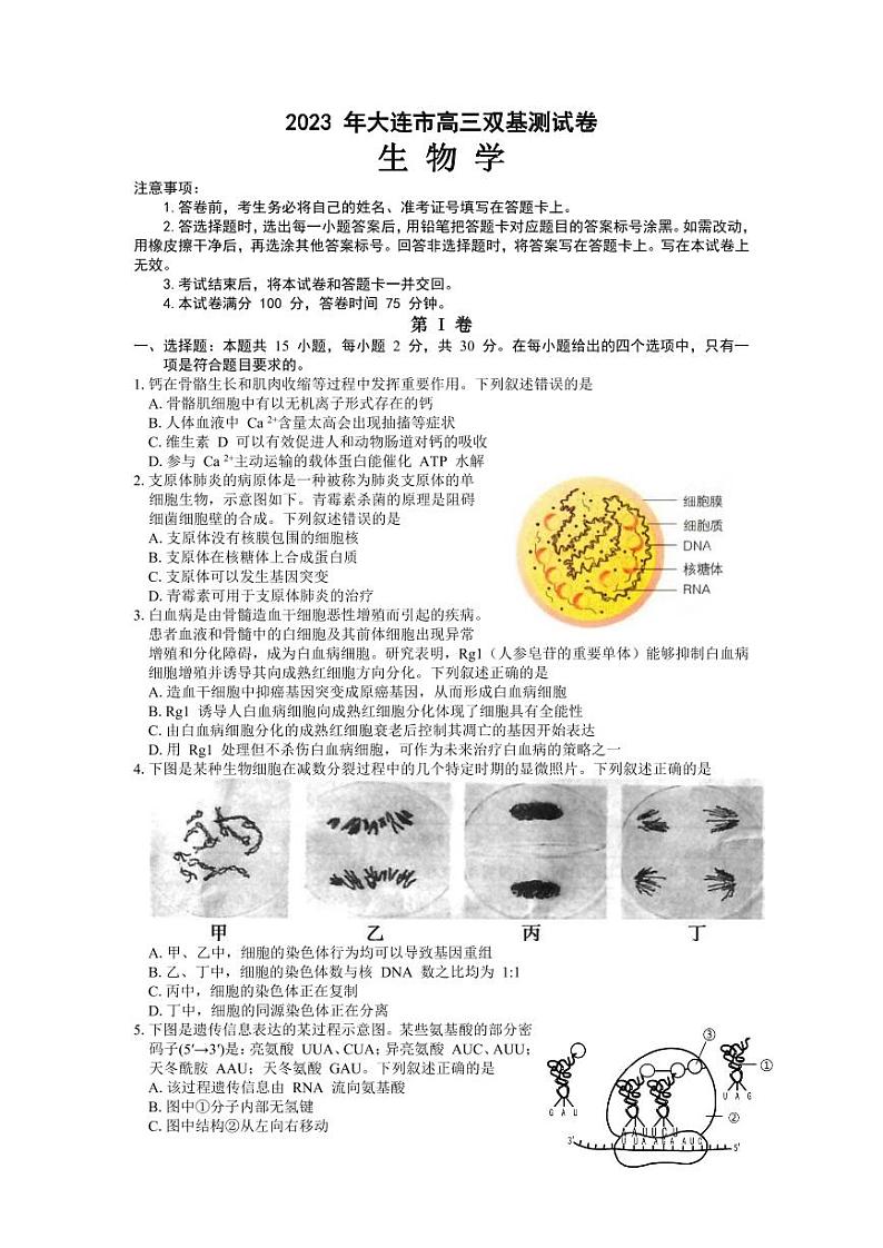 辽宁省大连市2023届高三上学期12月期末双基测试生物试卷+答案第1页