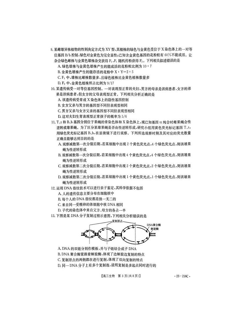 河南省驻马店市2023届高三上学期期末生物试卷+答案03