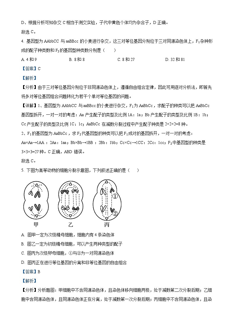 陕西省渭南市澄城县2021-2022学年高一生物下学期期末质量检测试题（Word版附解析）第3页