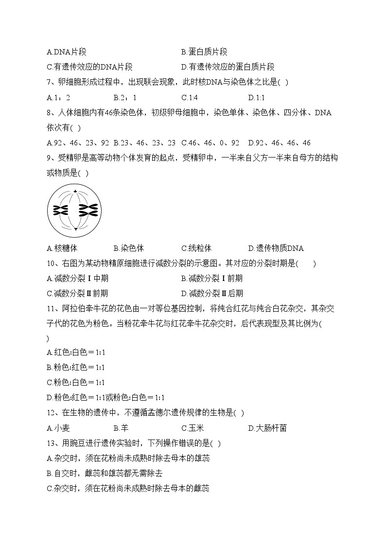 四川省江油中学2022-2023学年高一下学期半期考试生物试卷（含答案）02