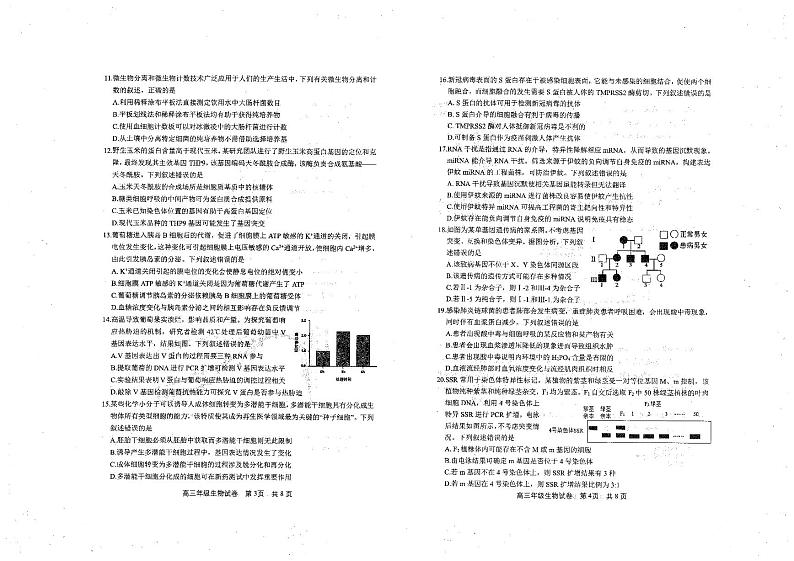 湖北省武汉市武昌区2023届高三元月质量检测生物试卷+答案02