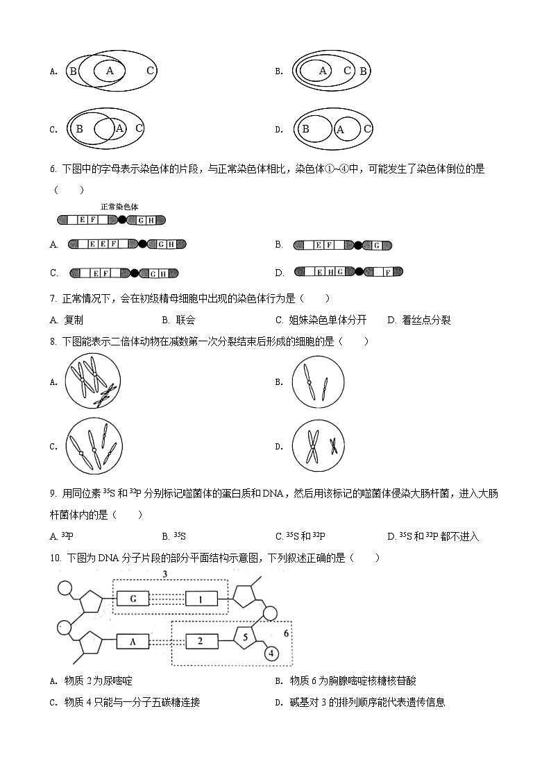 2022商洛高一下学期期末生物试题含解析02