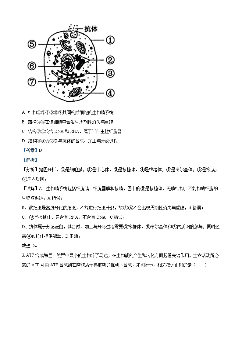 2022南通高一下学期期末考试生物试题含解析02