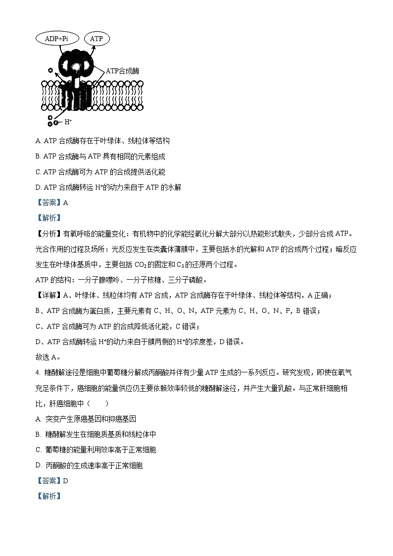 2022南通高一下学期期末考试生物试题含解析03