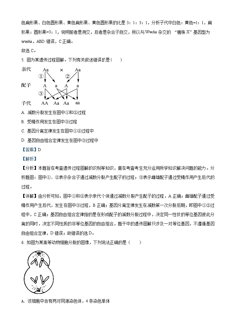 2022西安阎良区高一下学期期末生物试题含解析03