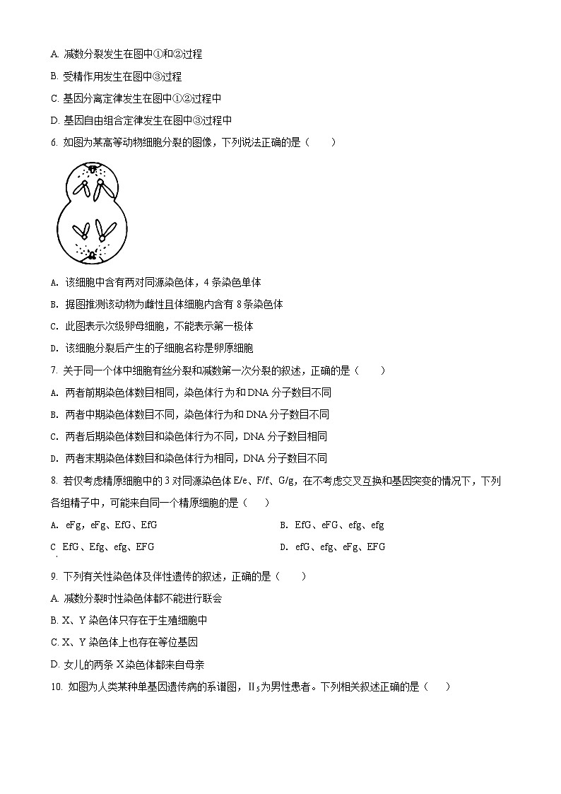 2022西安阎良区高一下学期期末生物试题含解析02