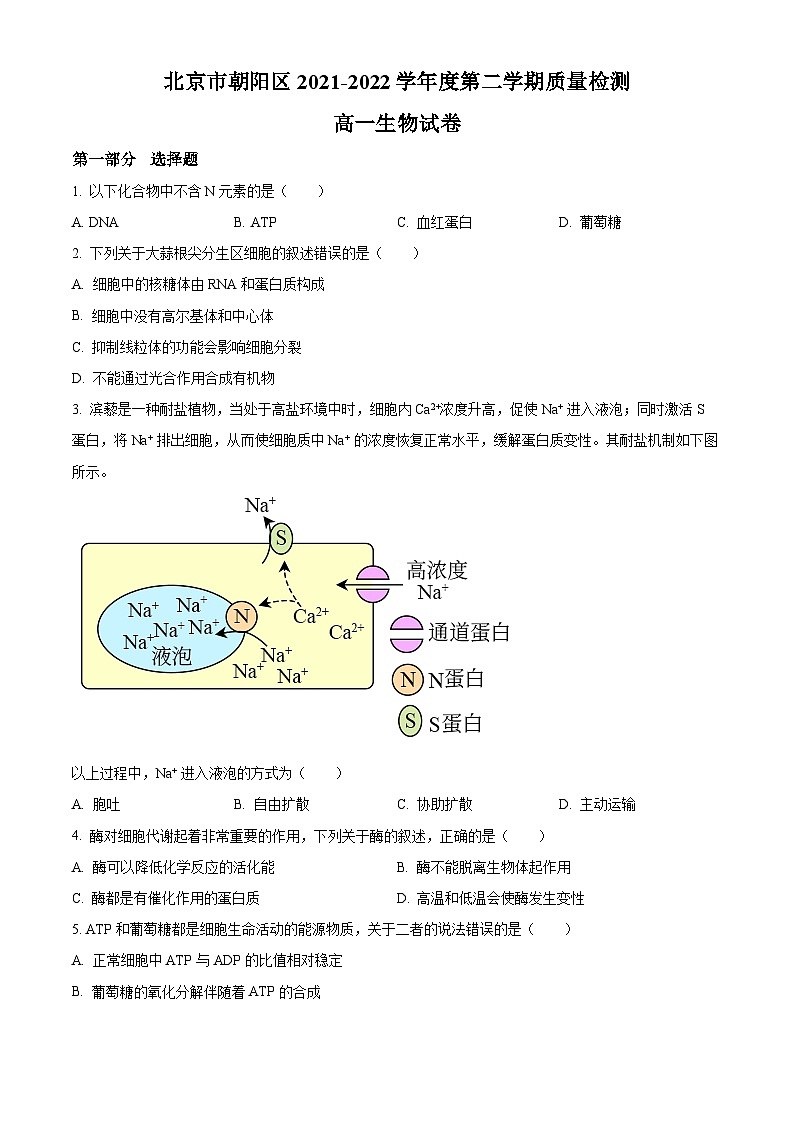 2022北京朝阳区高一下学期期末生物试题含解析01
