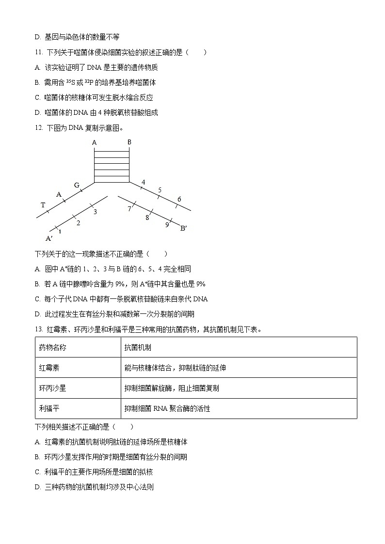 2022北京朝阳区高一下学期期末生物试题含解析03