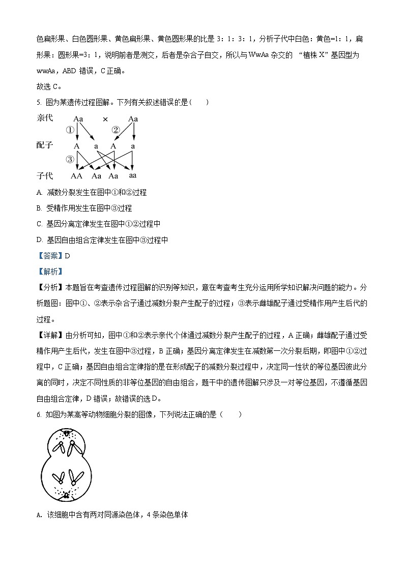 陕西省西安市阎良区2021-2022学年高一生物下学期期末质量检测试题（Word版附解析）03