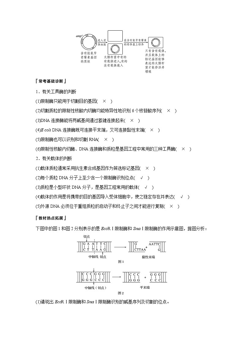 高考生物复习小专题 33-基因工程第3页
