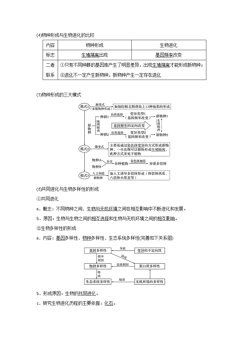 高考生物复习小专题 22-生物的进化第3页