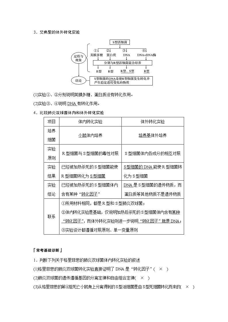 高考生物复习小专题 17-DNA是主要的遗传物质02