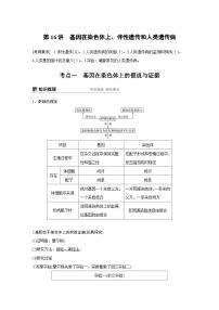 高考生物复习小专题 16-基因在染色体上、伴性遗传和人类遗传病