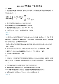 安徽省阜阳市临泉一中（高铁分校）2022-2023学年高一下学期第三次月考生物试题word版含解析