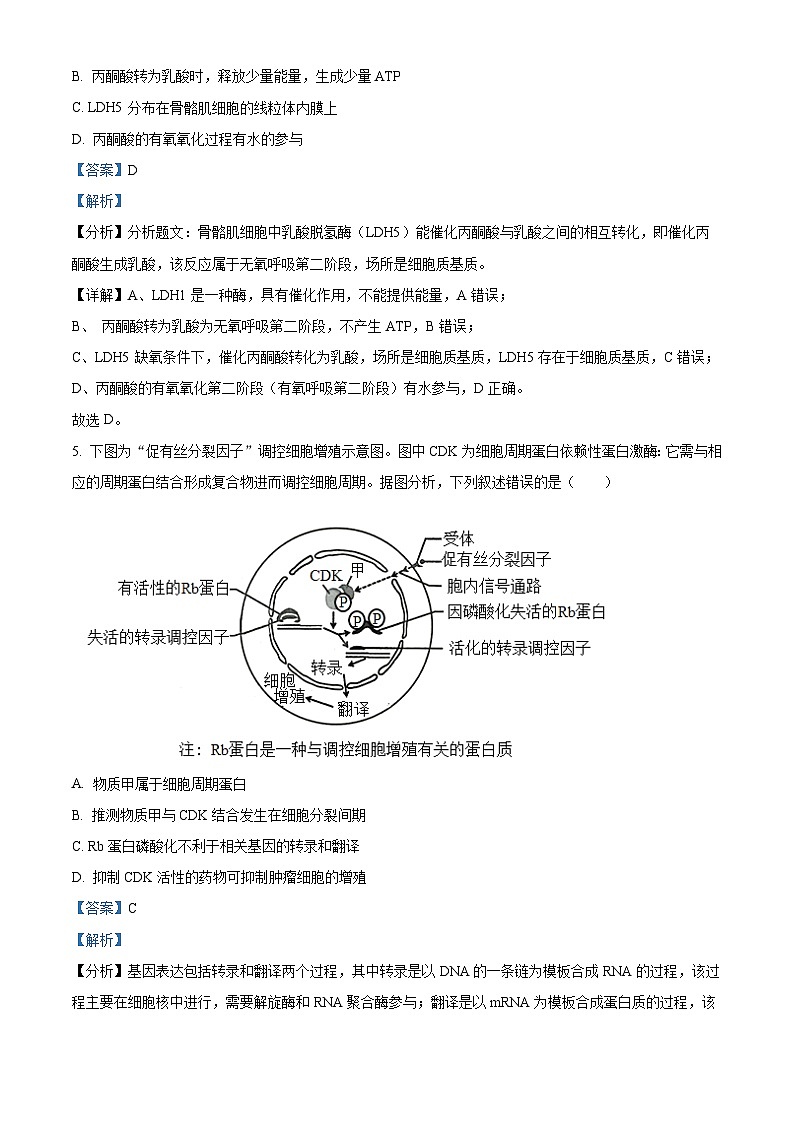重庆市第八中学2022-2023学年高三生物二模试题（Word版附解析）第3页
