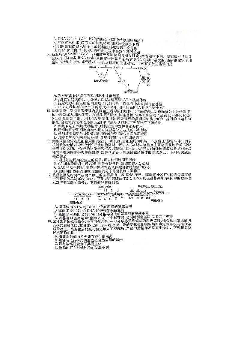 生物丨安徽省皖南八校2023届高三第一次大联考生物试卷及答案第3页