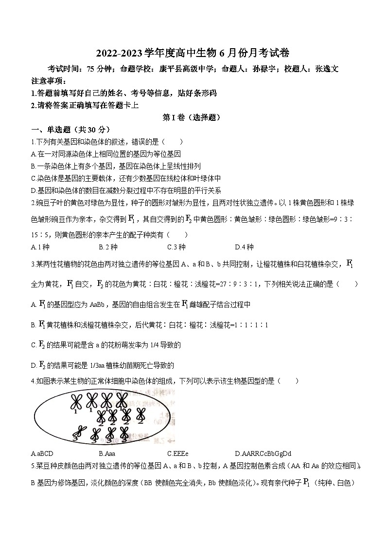 2023重点高中沈阳郊联体高一下学期6月月考生物试题含答案01