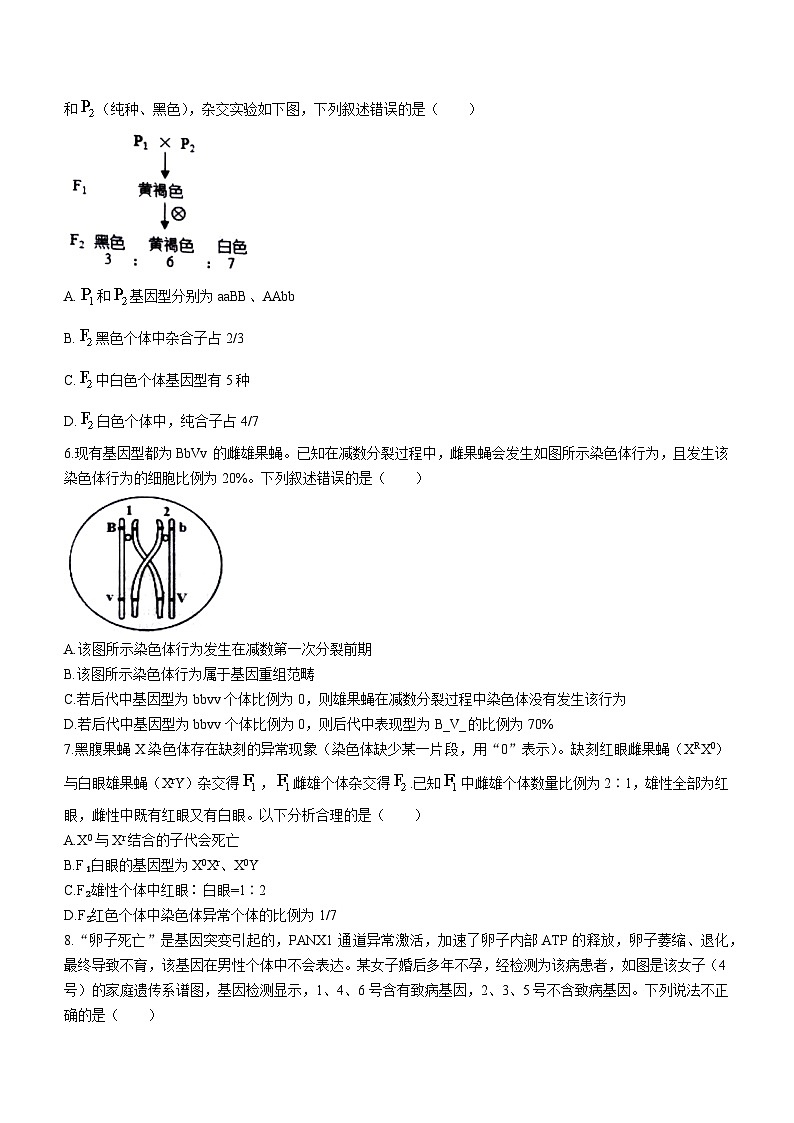 2023重点高中沈阳郊联体高一下学期6月月考生物试题含答案02