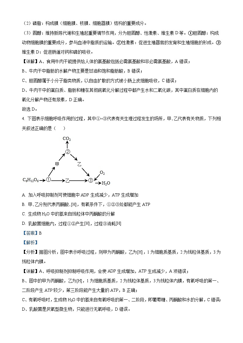 湖南省永州市第一中学2022-2023学年高一6月月考生物试题含解析第3页