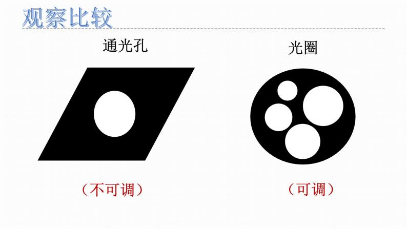 人教版2019必修一高中生物 1.2《细胞的多样性和统一性》课件+同步分层练习06