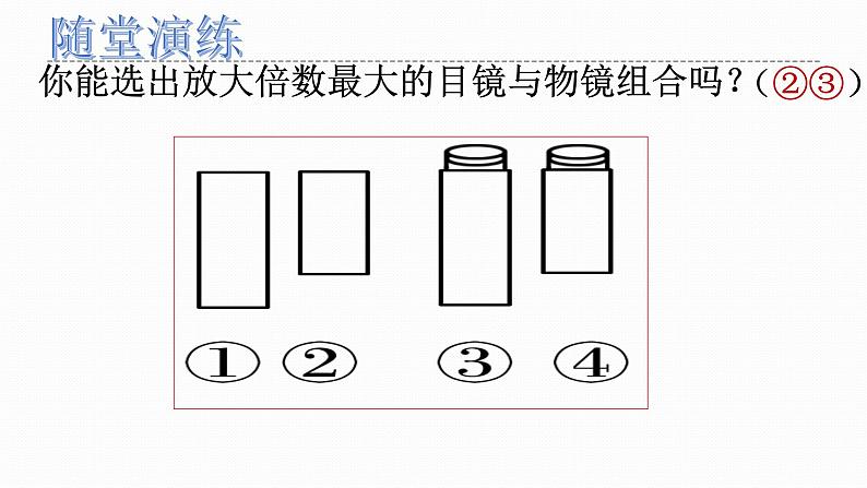 人教版2019必修一高中生物 1.2《细胞的多样性和统一性》课件+同步分层练习07