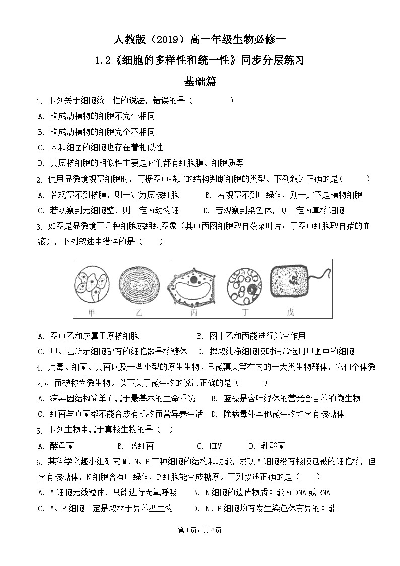 人教版2019必修一高中生物 1.2《细胞的多样性和统一性》课件+同步分层练习01