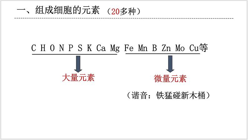人教版2019必修一高中生物 2.1《细胞中的元素和化合物》课件+同步分层练习06
