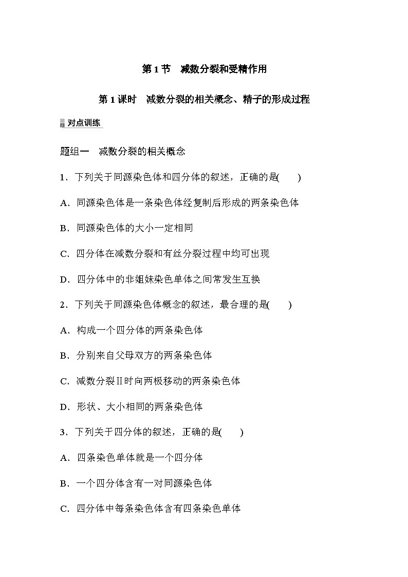 第2章　第1节　第1课时　减数分裂的相关概念、精子的形成过程  课时练（含答案）01