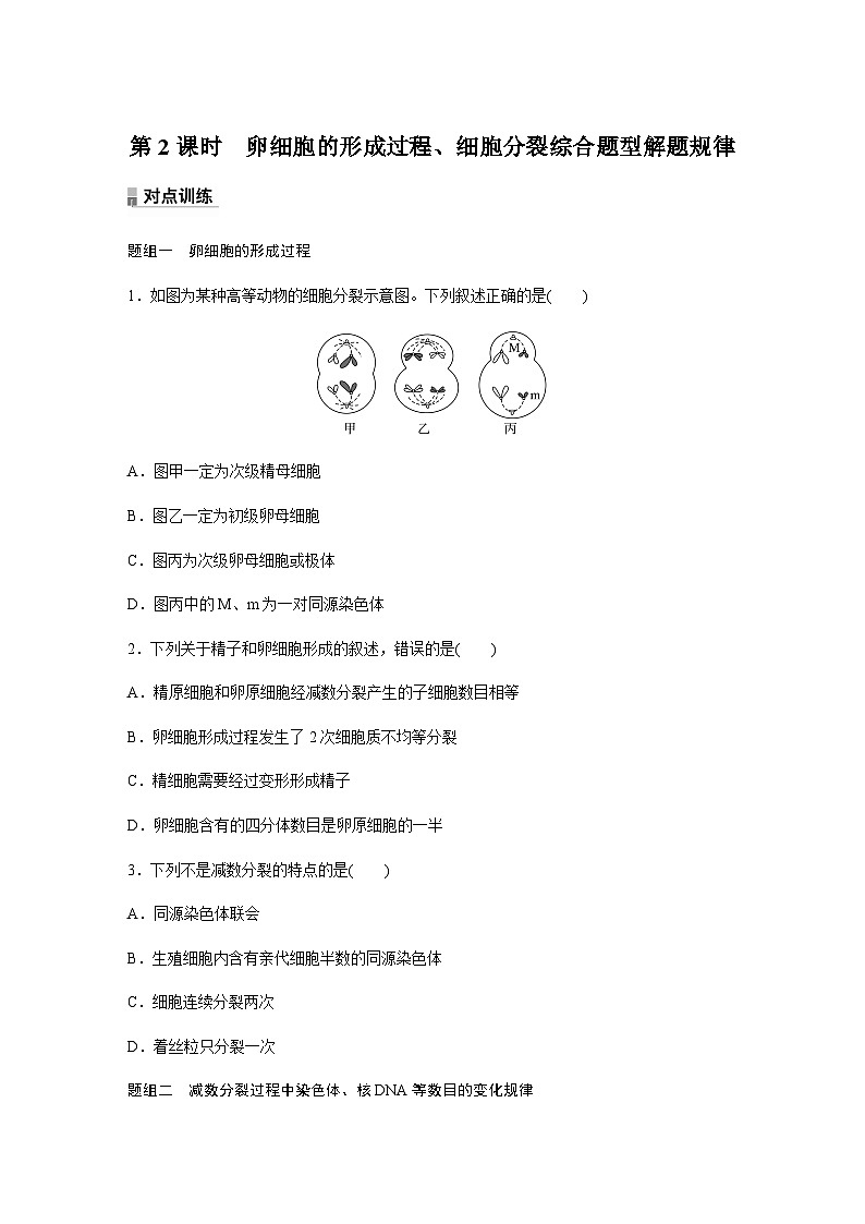 第2章　第1节　第2课时　卵细胞的形成过程、细胞分裂综合题型解题规律  课时练（含答案）第1页