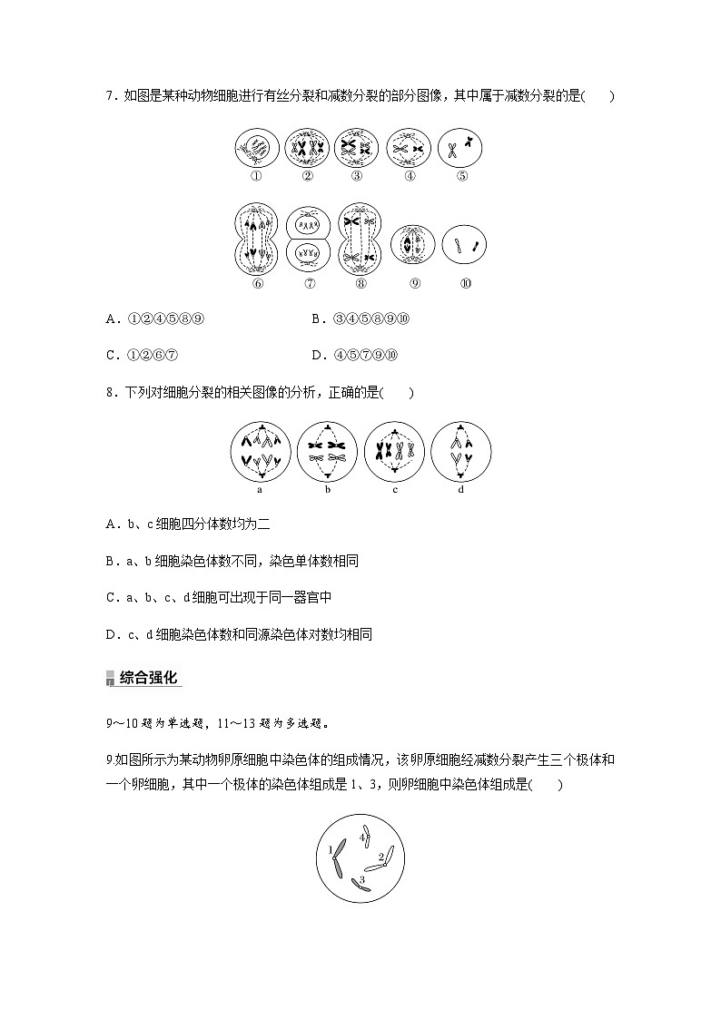 第2章　第1节　第2课时　卵细胞的形成过程、细胞分裂综合题型解题规律  课时练（含答案）第3页
