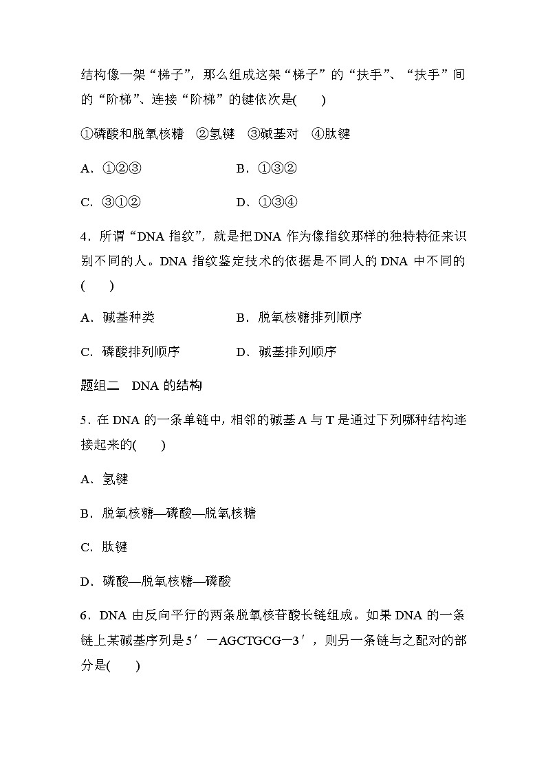 第3章　第2节　DNA的结构  课时练（含答案）第2页