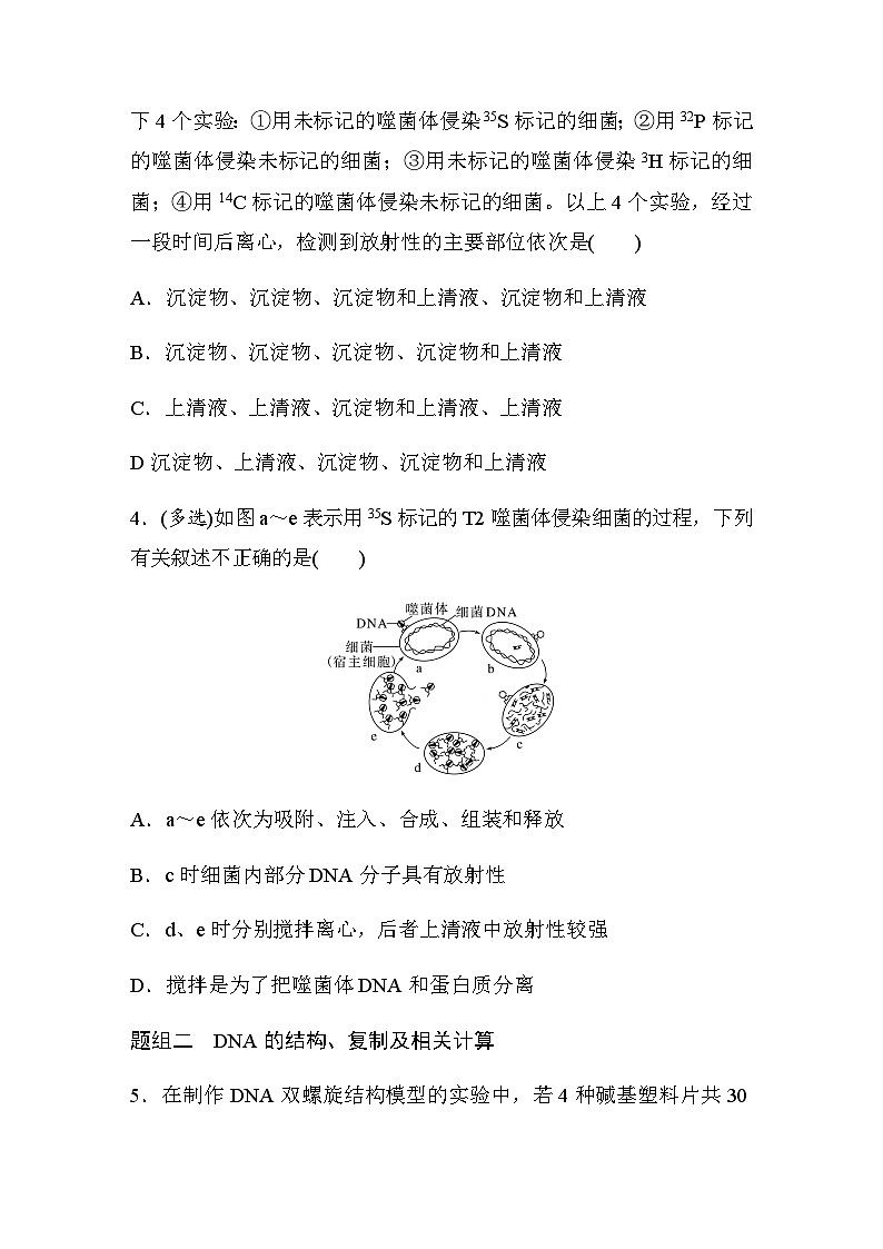 第3章　基因的本质　重点突破练(三)  课时练（含答案）第2页