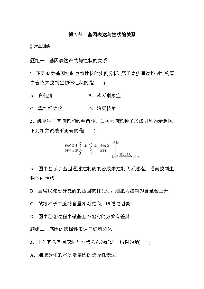 第4章　第2节　基因表达与性状的关系  课时练（含答案）第1页
