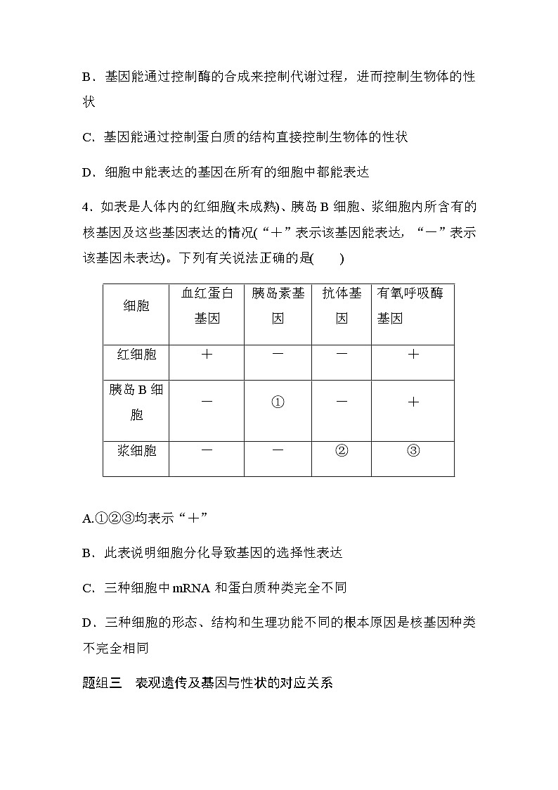 第4章　第2节　基因表达与性状的关系  课时练（含答案）第2页