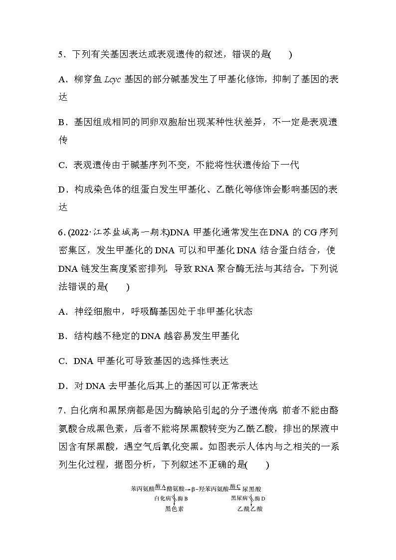 第4章　第2节　基因表达与性状的关系  课时练（含答案）第3页