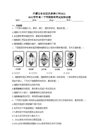 内蒙古自治区巴彦淖尔市2021-2022学年高一下学期期末考试生物试卷（含答案）