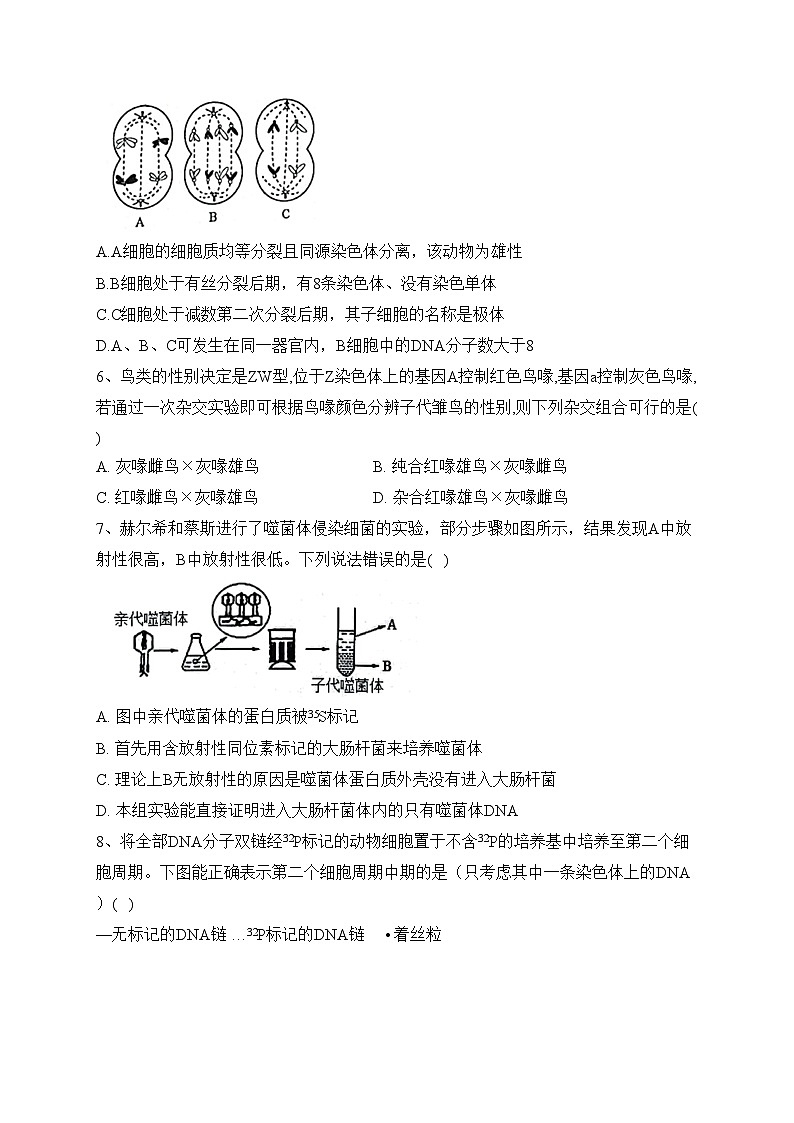 泗阳县实验高级中学2022-2023学年高一下学期第二次质量调研生物试卷（含答案）02