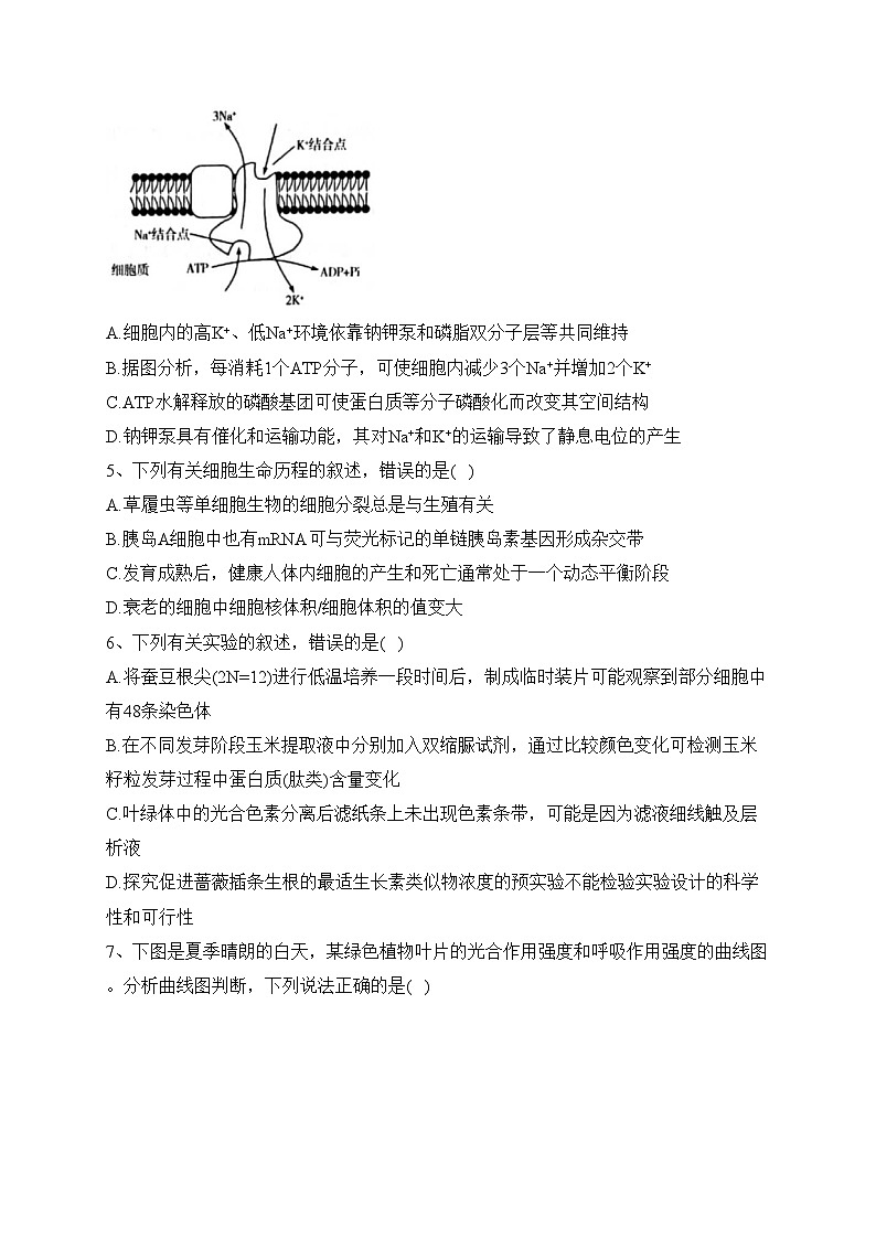 河南省新乡市名校2021-2022学年高二下学期期末联考生物试卷（含答案）02