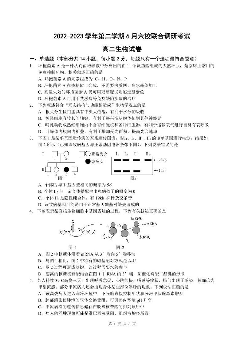 2023南京六校联合体高二下学期6月联合调研考试生物试题PDF版含答案（可编辑）01