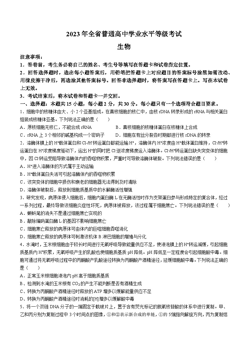 2023年新高考山东卷生物高考真题文档版（无答案）01