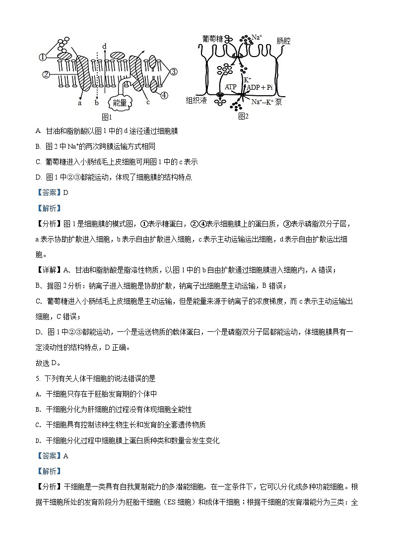 安徽省阜阳市2021-2022学年高一生物下学期期末试题（Word版附解析）03