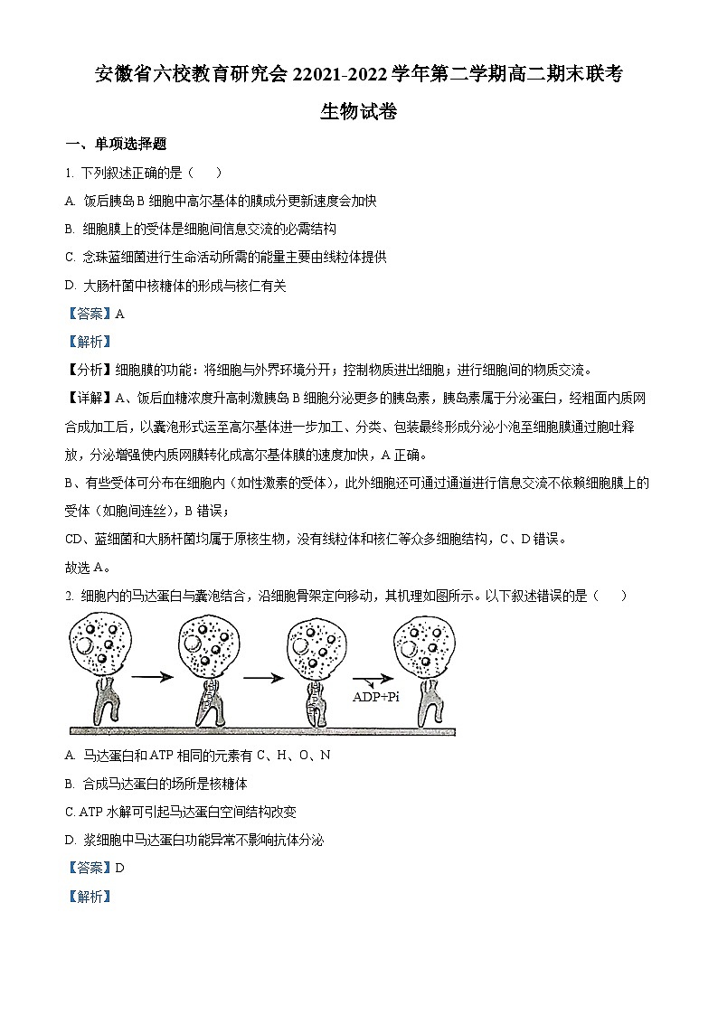 安徽省六校教育研究会2021-2022学年高二生物下学期期末联考试题（Word版附解析）01
