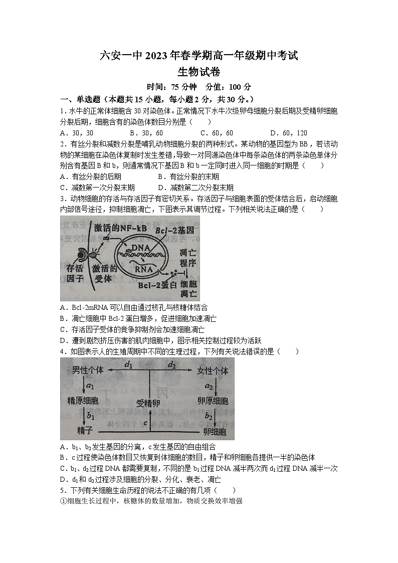 安徽省六安市第一中学2022-2023学年高一生物下学期期中试题（Word版附解析）01